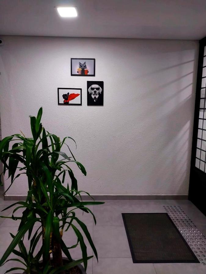 Pousada Sao Jose ジョインヴィレ エクステリア 写真